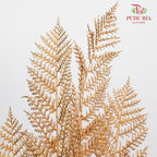 Gold Eucalyptus Leaf (2 stems) - Pudu Ria Florist Southern