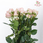 Rose Spray Bombastic (6 Stems) - Pudu Ria Florist Southern