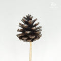 Xmas Pine Cone (Glitter) - per stems - Pudu Ria Florist Southern