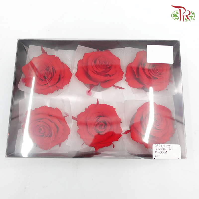 Preservative Full Bloom Rose (6 Blooms) - Red - Pudu Ria Florist Southern
