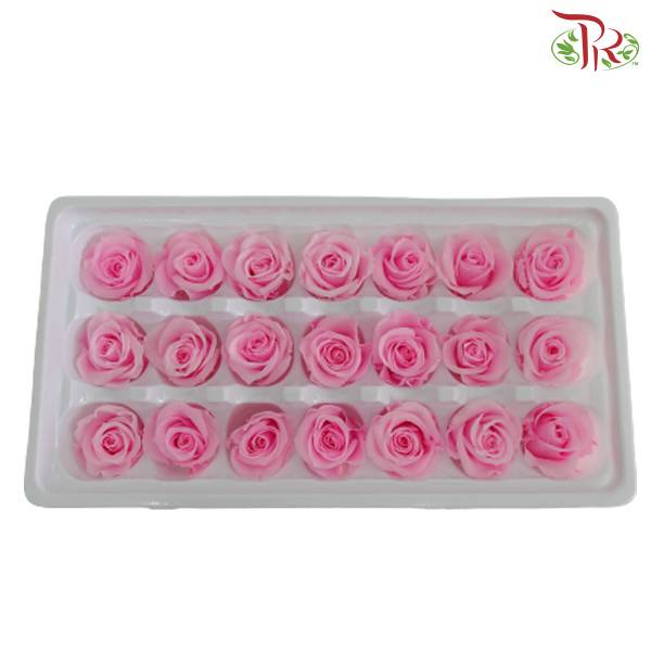 21 Bloom Preservative Rose - Pink - Pudu Ria Florist Southern