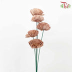 Dry Aeschynomene (Big) - Brown - Pudu Ria Florist Southern