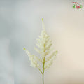 Astilbe White (4-5 Stems) - Pudu Ria Florist Southern