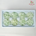 Preservative Carnation (8 Blooms) Light Green - Offer Item - Pudu Ria Florist Southern