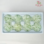 Preservative Carnation (8 Blooms) Light Green - Offer Item - Pudu Ria Florist Southern