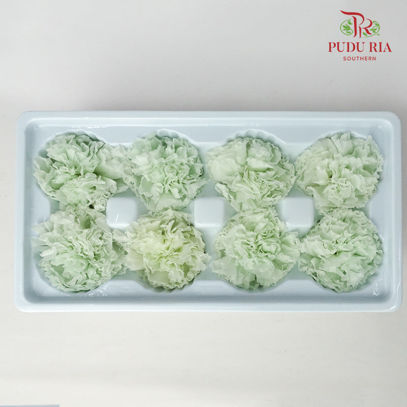 Preservative Carnation (8 Blooms) Light Green - Offer Item - Pudu Ria Florist Southern