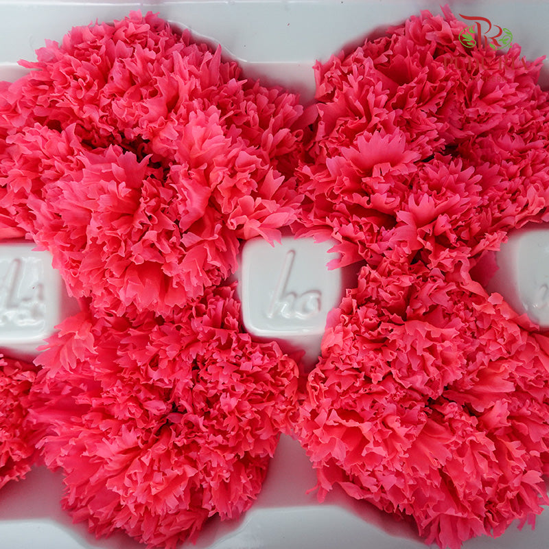 Preservative Carnation (8 Blooms) Red - Offer Item - Pudu Ria Florist Southern