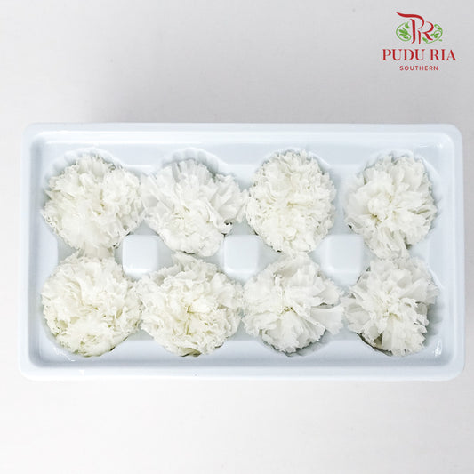 Preservative Carnation (8 Blooms) White - Offer Item - Pudu Ria Florist Southern