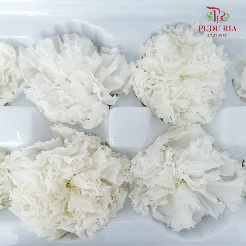 Preservative Carnation (8 Blooms) White - Offer Item - Pudu Ria Florist Southern