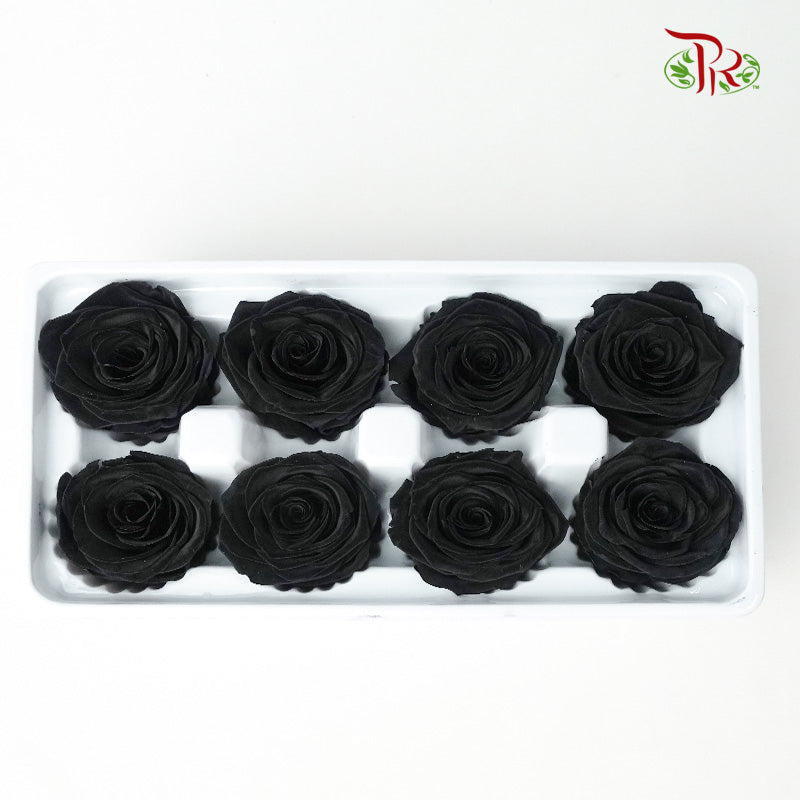 8 Bloom Preservative Rose - Black