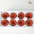 8 Bloom Preservative Rose - Brown - Pudu Ria Florist Southern