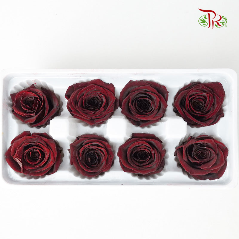 8 Bloom Preservative Rose - Maroon - Pudu Ria Florist Southern