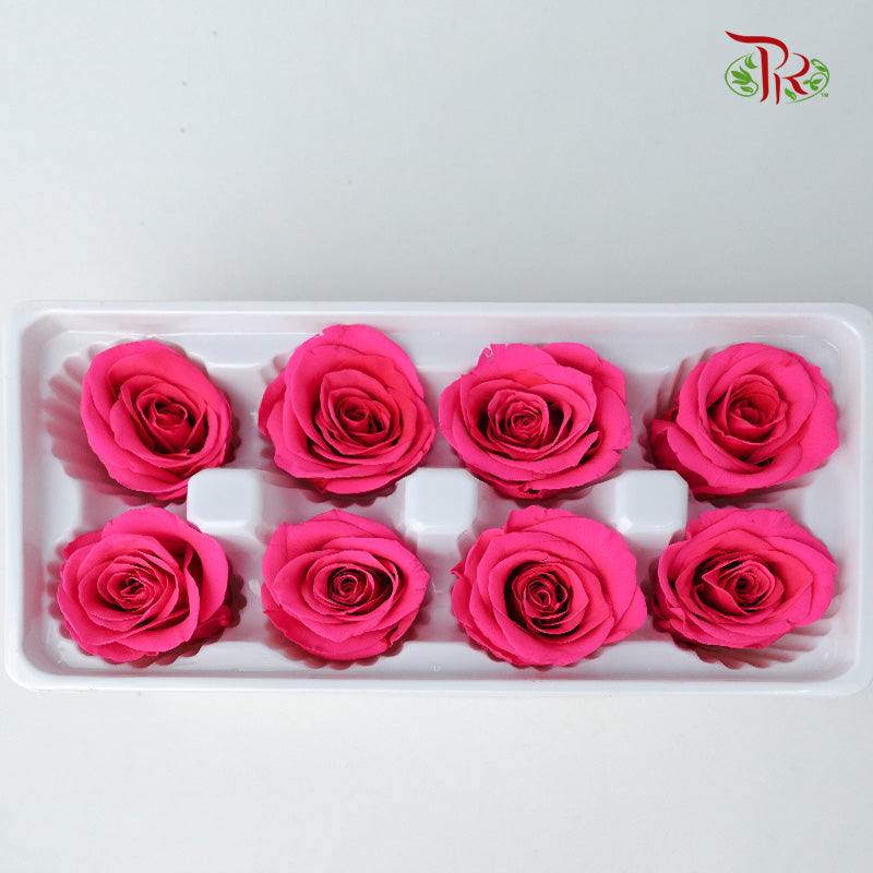 8 Bloom Preservative Rose - Hot Pink - Pudu Ria Florist Southern