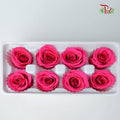 8 Bloom Preservative Rose - Hot Pink - Pudu Ria Florist Southern