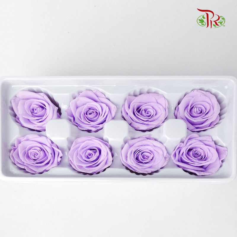 8 Bloom Preservative Rose - Lavender