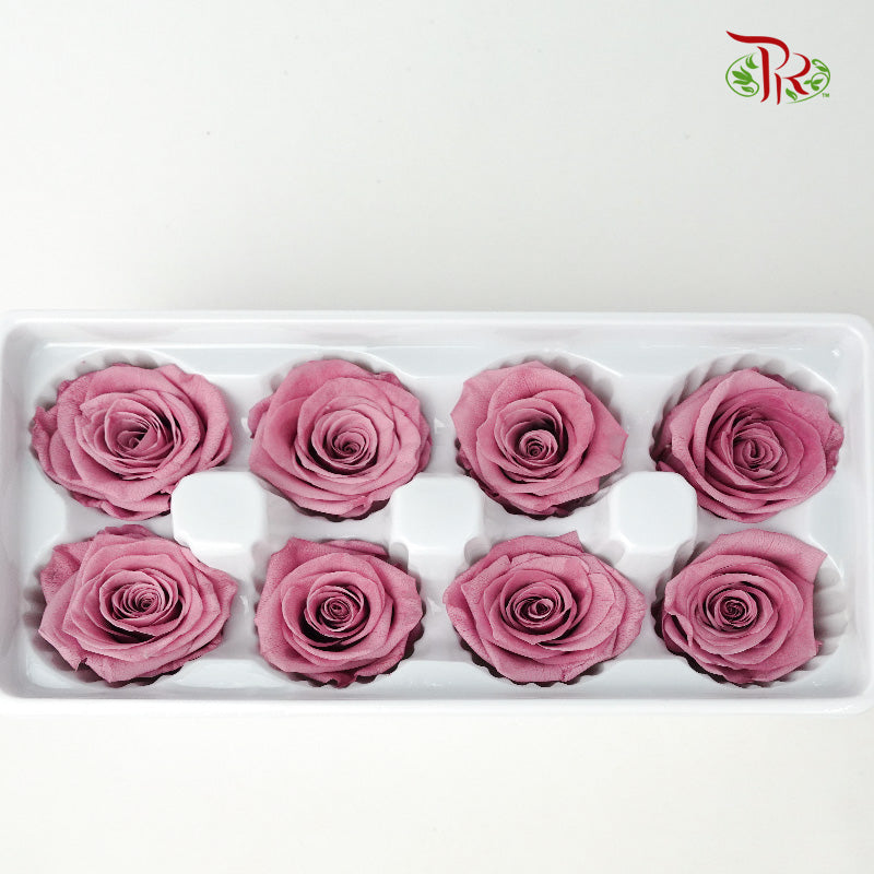 8 Bloom Preservative Rose - Light Purple - Pudu Ria Florist Southern