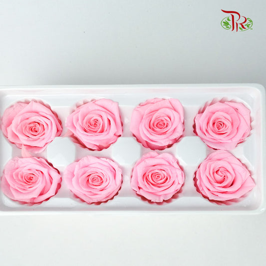 8 Bloom Preservative Rose - Light Pink - Pudu Ria Florist Southern