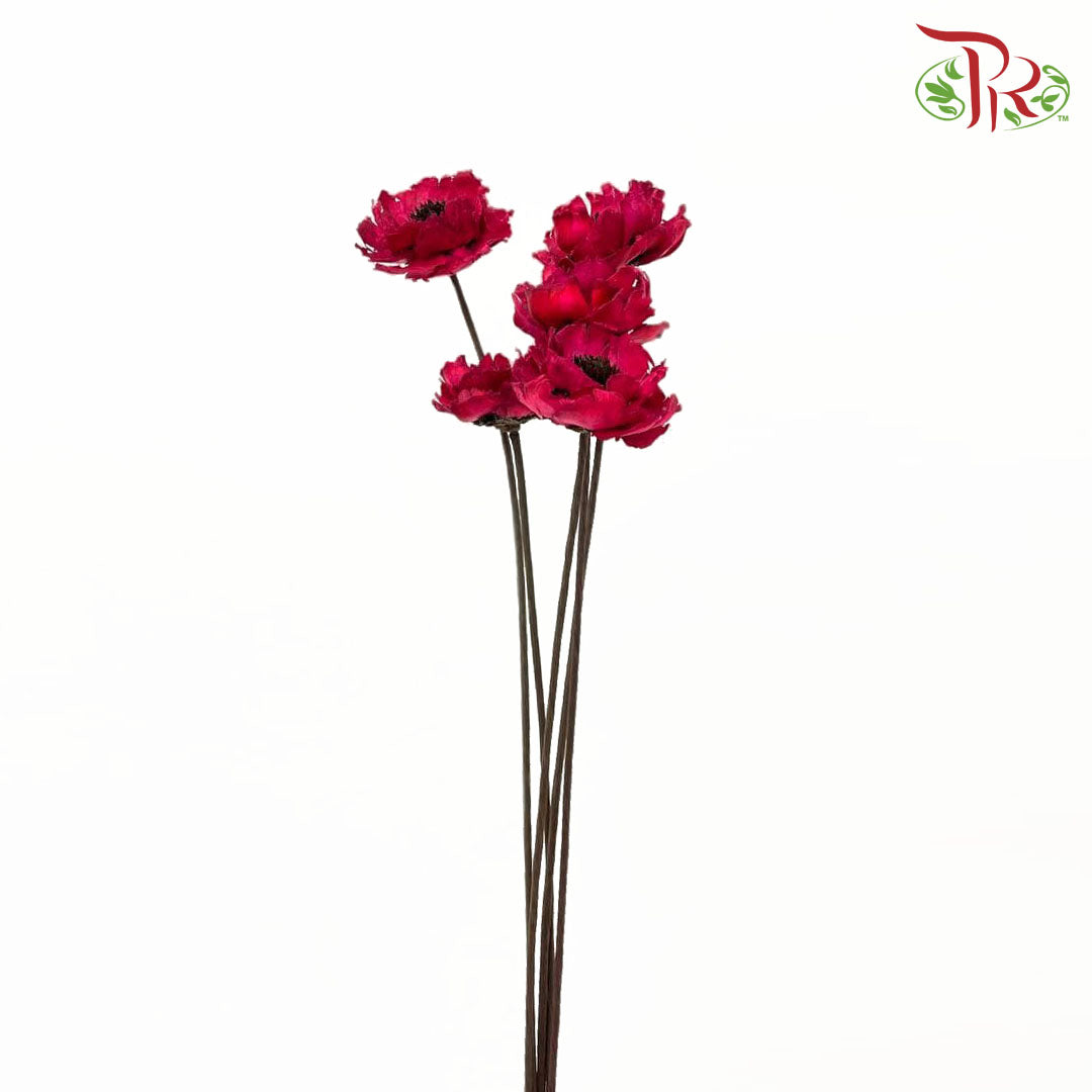 Dry Corn Poppy - Red - Pudu Ria Florist Southern