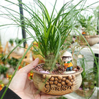 Blissful Jungle 幸福丛林 / Per Pot - Pudu Ria Florist Southern