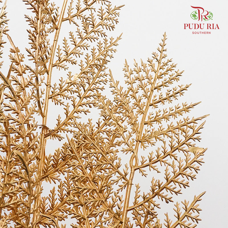 Gold Eucalyptus Leaf (2 stems) - Pudu Ria Florist Southern