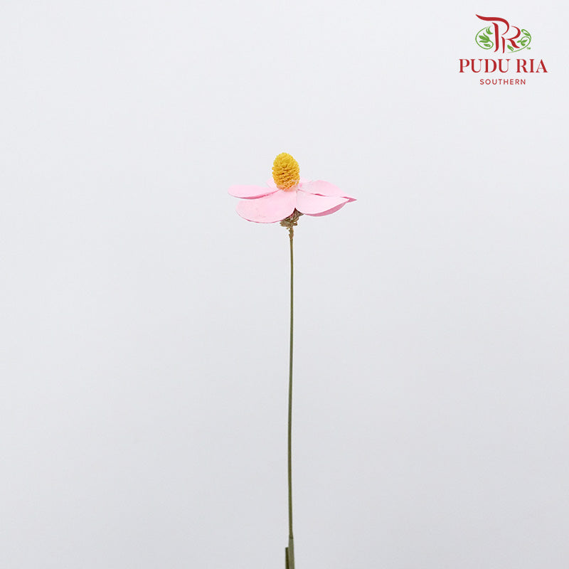 Dry Violet - Pink - Pudu Ria Florist Southern