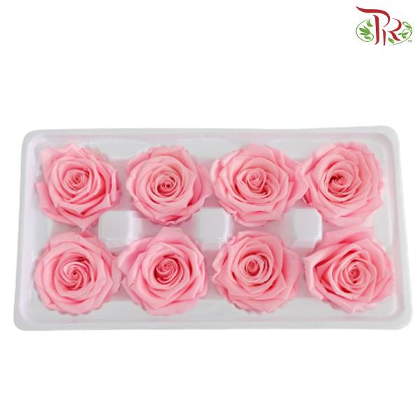 8 Bloom Preservative Rose - Pink - Pudu Ria Florist Southern