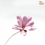 Preservative Petite Flower - Pink - Pudu Ria Florist Southern