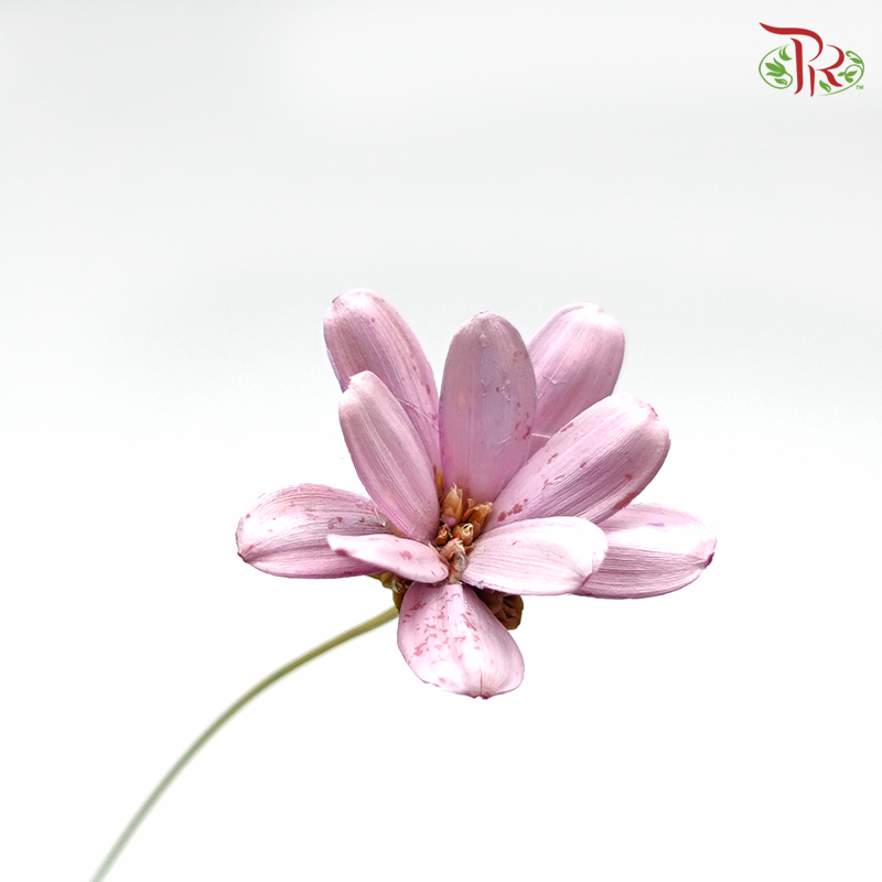 Preservative Petite Flower - Pink - Pudu Ria Florist Southern