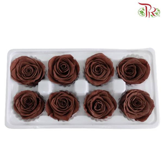 8 Bloom Preservative Rose - Dark Brown - Pudu Ria Florist Southern