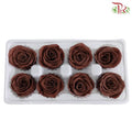 8 Bloom Preservative Rose - Dark Brown - Pudu Ria Florist Southern