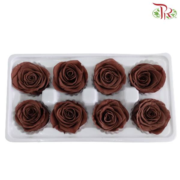 8 Bloom Preservative Rose - Dark Brown - Pudu Ria Florist Southern
