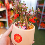 CNY Pot Plant Arrangement 金玉满堂 - Pudu Ria Florist Southern