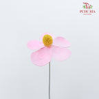 Dry Violet - Pink - Pudu Ria Florist Southern