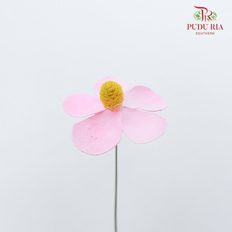 Dry Violet - Pink - Pudu Ria Florist Southern