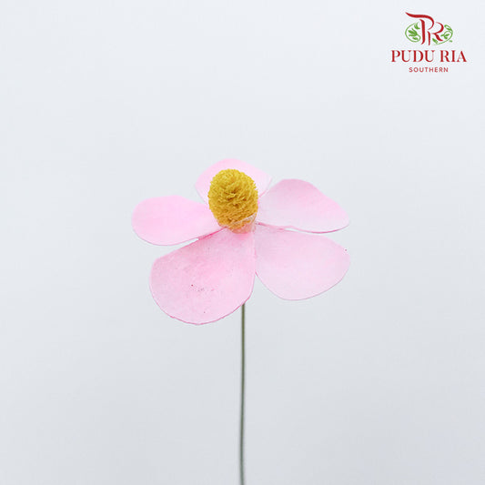 Dry Violet - Pink - Pudu Ria Florist Southern