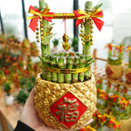 Rich Bucket (一桶金) / Per Pot - Pudu Ria Florist Southern