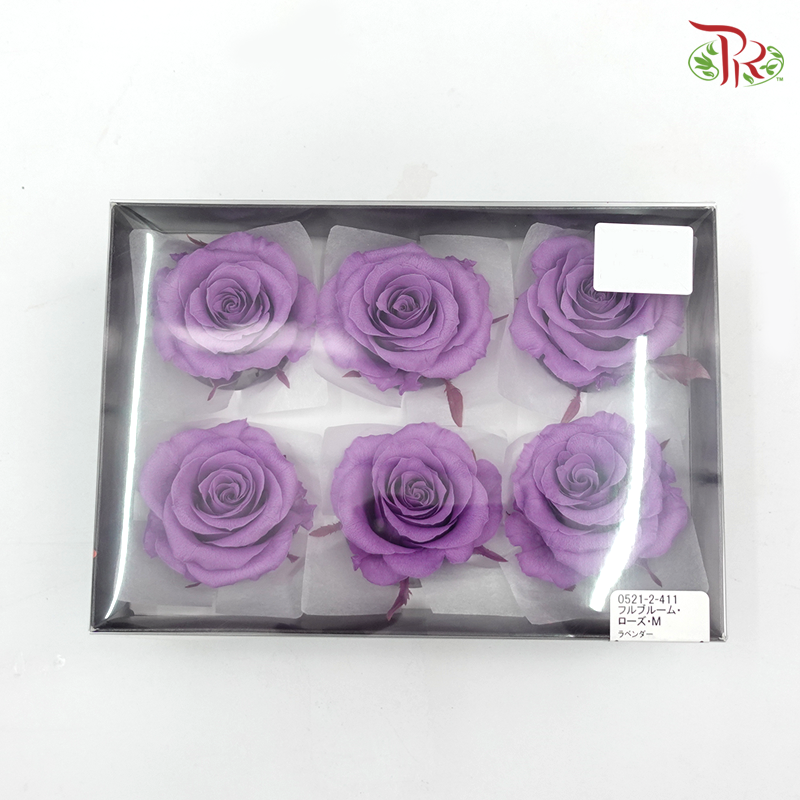 Preservative Full Bloom Rose (6 Blooms) - Purple - Pudu Ria Florist Southern