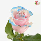 Rose Mondial Dyed Pink Horizont (8-10 Stems) - Pudu Ria Florist Southern