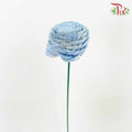 Dry Aeschynomene Aspera - Blue - Pudu Ria Florist Southern