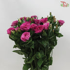 Eustoma Aube Type Red (12-15 Stems) - Pudu Ria Florist Southern