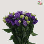Eustoma Aube Type Rosina Blue (12-15 Stems) - Pudu Ria Florist Southern