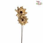 Dry Lingjian Lotus - Natural - Pudu Ria Florist Southern
