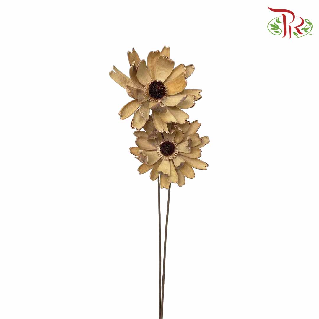 Dry Lingjian Lotus - Natural - Pudu Ria Florist Southern