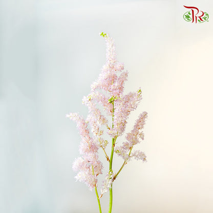Astilbe Light Pink (4-5 Stems) - Pudu Ria Florist Southern