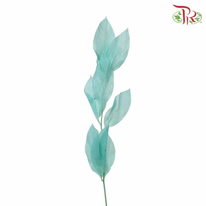 Dry Orange Leaf - Blue - Pudu Ria Florist Southern