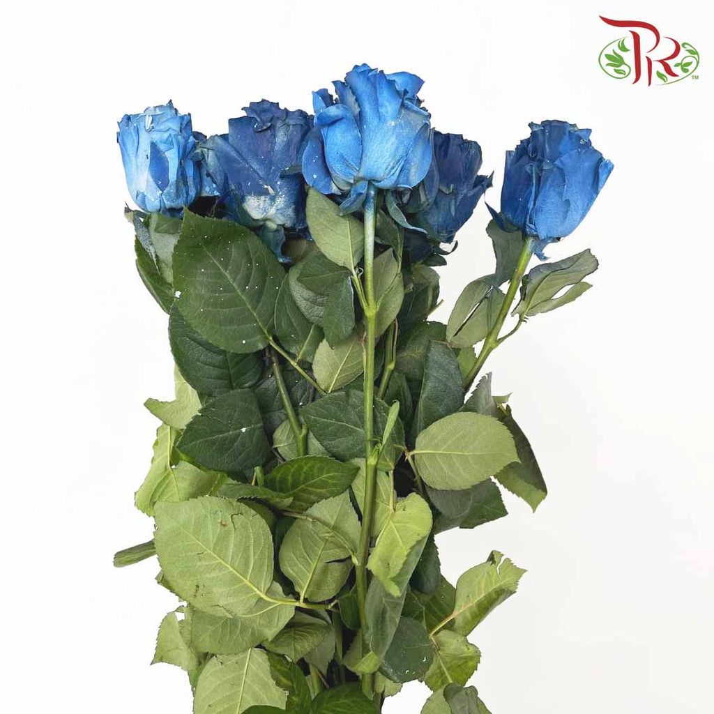 Rose Mondial Dyed Milky Way (8-10 Stems) - Pudu Ria Florist Southern
