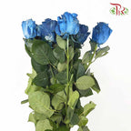 Rose Mondial Dyed Milky Way (8-10 Stems) - Pudu Ria Florist Southern