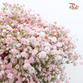 Baby's Breath Soft Pink (8-10 Stems) - Pudu Ria Florist Southern