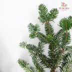 Nobilis Fir - Pudu Ria Florist Southern