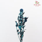 Dry Echinops - Blue - Pudu Ria Florist Southern
